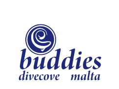 Buddies Dive Cove